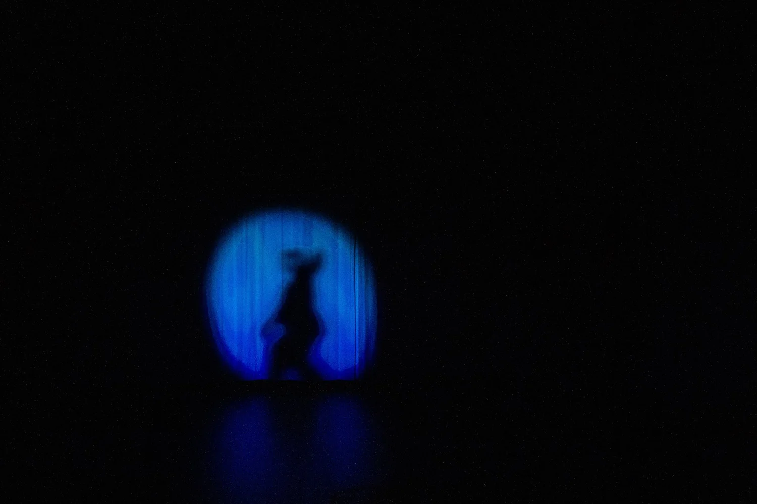 anna_torkkel_ray_of_light_8.jpg